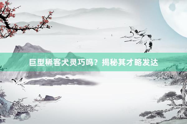 巨型稀客犬灵巧吗？揭秘其才略发达